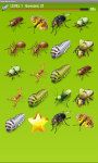 Bugs Match up Game screenshot 4/4