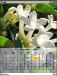 Cosmos Calendar 2012 screenshot 1/3