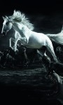 HD Horses Live Wallpaper screenshot 1/6