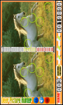 Deer Picture Hunter Game - Spot the Differences screenshot 5/6