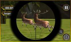 hunting Jungle Animals games screenshot 3/3