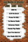 Los Radios de Mexico screenshot 2/4