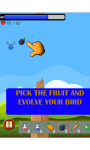 Flapin Bird Evolution RPG screenshot 5/5