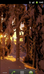 Afternoon Winter Forest Live Wallpaper screenshot 1/5