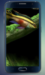 Aquarium 2015 Live Wallpaper screenshot 3/4
