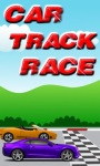 Car Track Race screenshot 1/1