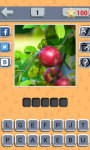 Guess Fruit Berry screenshot 2/6