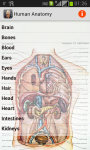 Human Anatomy And Info screenshot 1/3