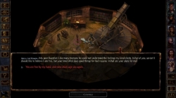 Baldurs Gate Enhanced Edition absolute screenshot 5/6