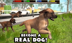 Ultimate Dog Simulator screenshot 1/3