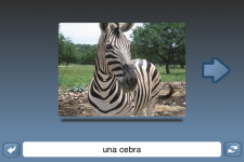 NounStar Learn Spanish - Free screenshot 2/5