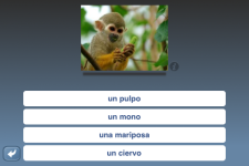 NounStar Learn Spanish - Free screenshot 3/5