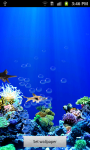 Under water Fish Live Wallpaper screenshot 2/5