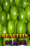 Benefits of Lime screenshot 1/4