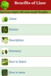 Benefits of Lime screenshot 3/4