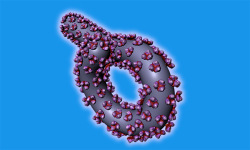Ebola Virus Structure in 3D VR screenshot 4/4