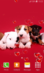 Sweet Puppies Live Wallpapers screenshot 3/6