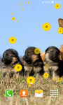 Sweet Puppies Live Wallpapers screenshot 4/6