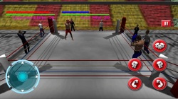 Punch Boxing Championship screenshot 1/1