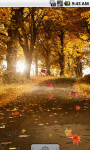 Autumn Road Cool Live Wallpaper screenshot 1/4