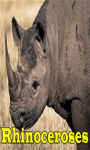 Rhinoceroses screenshot 1/3