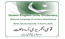 Qaumi English-Urdu Dictionary screenshot 2/2