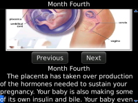 Month by Month Pregnancy Guide screenshot 1/2