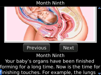 Month by Month Pregnancy Guide screenshot 2/2