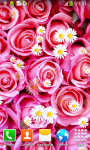 Pink Roses Live Wallpapers New screenshot 4/6