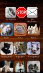 Cats and Dogs Ringtones Free screenshot 1/3
