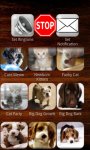 Cats and Dogs Ringtones Free screenshot 2/3