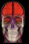 3D Brain MRI screenshot 1/1