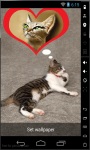Cat Dreams Live Wallpaper screenshot 1/2