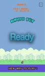 Birdo Fly screenshot 1/3