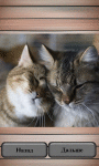 Beautiful Cat Puzzle FREE screenshot 3/4