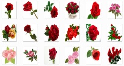New Rose Flowers Onet Classic Game screenshot 1/2