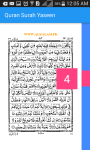 Quran Surah Yaseen screenshot 3/5