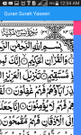 Quran Surah Yaseen screenshot 4/5