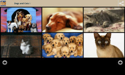 Dogs With Cats Wallpapers screenshot 1/6