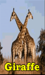 Giraffe Lite  screenshot 1/3