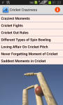 Cricket Craziness screenshot 1/3