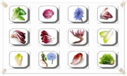Chicory Flowers Onet Classic Game screenshot 2/3