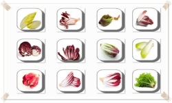 Chicory Flowers Onet Classic Game screenshot 3/3