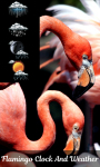 Flamingo Clock And Weather screenshot 1/6