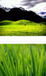Grass view wallpaper HD screenshot 3/3
