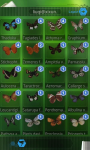 Chinese Butterflies screenshot 1/6