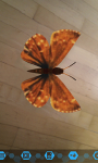 Chinese Butterflies screenshot 4/6