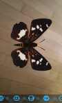 Chinese Butterflies screenshot 5/6