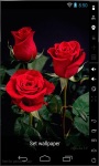 Magic Bouquet of Roses Live Wallpaper screenshot 1/2