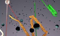 Measles Virus Replication 3D screenshot 2/3